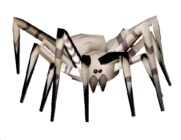 Bunker Spider
